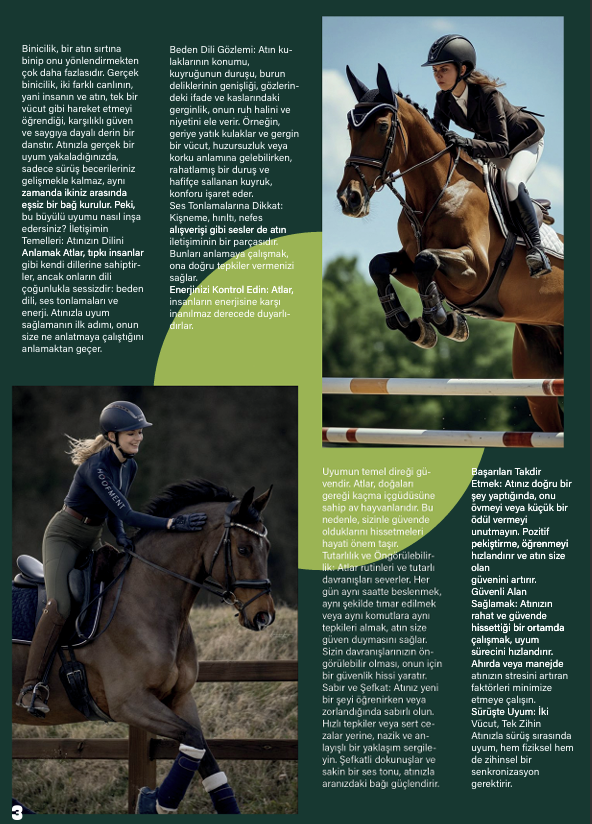 Horse Magazine Design 5